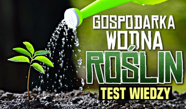 Gospodarka wodna roślin — Test sprawdzający Twoją wiedzę!