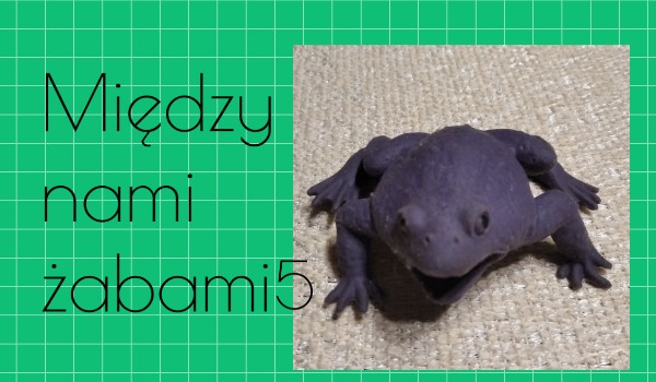 Między nami żabami 5