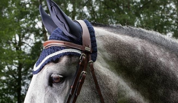 Czy jesteś jeźdźcem