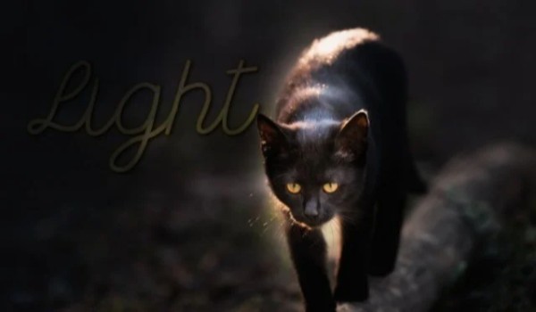 Light 3 gwiazda by .sarni.skok.