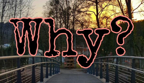 Why? ~ part one