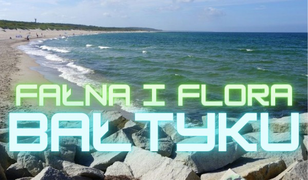 Fauna i flora Bałtyku – test