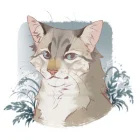 _WiewiorczaSadzawka_