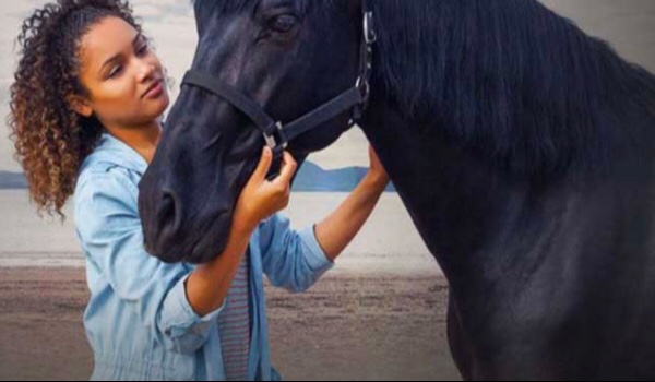 Free rein – Raven quiz