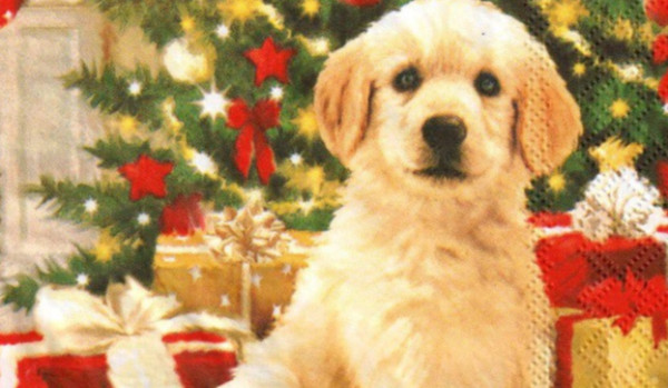 Inazuma eleven go cz.2