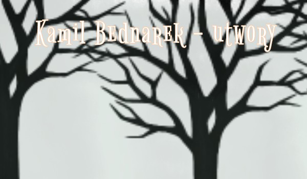 Jak długo jeszcze – Kamil Bednarek