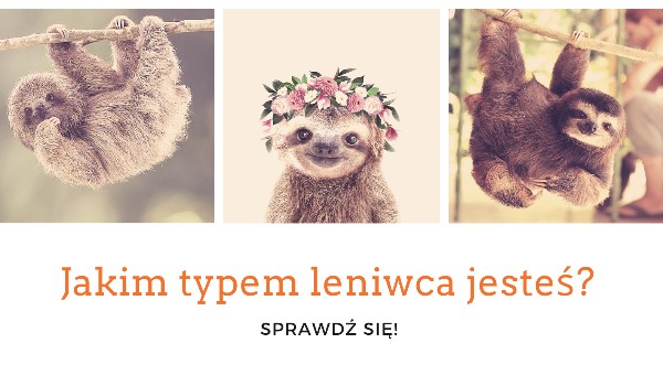 Jakim typem leniwca jesteś?