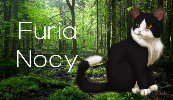 Furia Nocy ~ rozdział 1