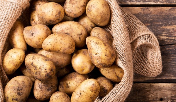 Test wiedzy o twitch i Youtube