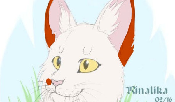 ~Zemsta Miodowej Sadzawki~one shot