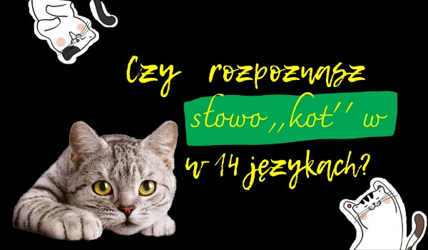 Czy rozpoznasz słowo ,,kot” w 14 językach?