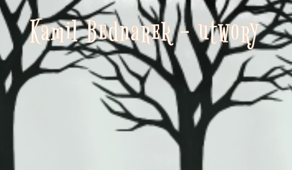 Chodź ucieknijmy – Kamil Bednarek