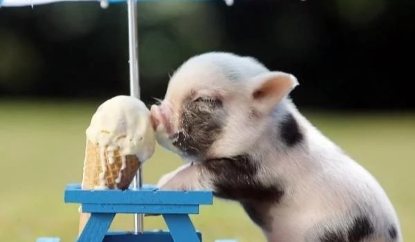 Stwórz dziwny nik! 2!