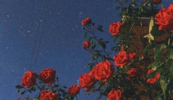 Pozdrawiam-test próbny