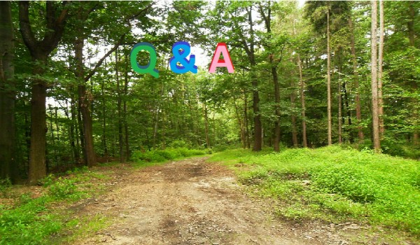 Q&A – odpowiedzi