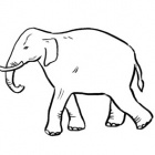 heter_.Lavender.Paw.