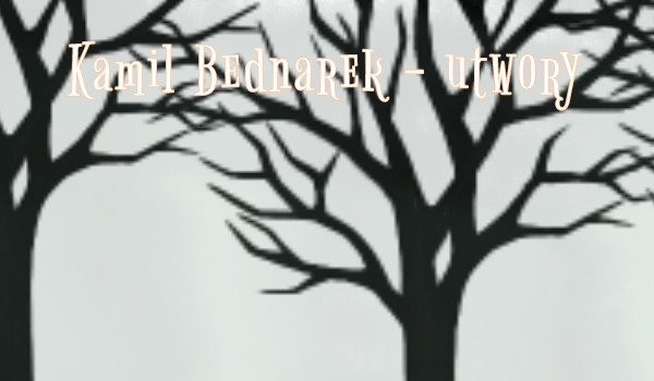 Talizman – Kamil Bednarek