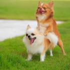 XXX_RUCHAMPSAJAKSRA_XXX