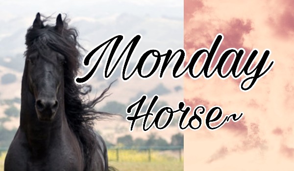 Monday Horse 6/1