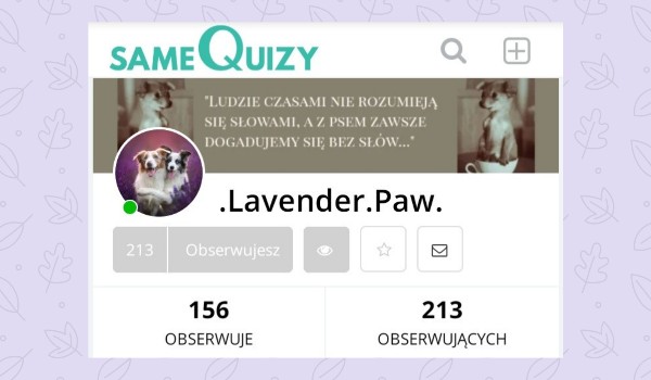 Oceniam profil @.Lavender.Paw. !!!