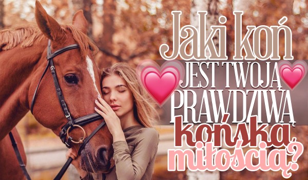 Jaki koń jest Twoją prawdziwą, końską miłością?