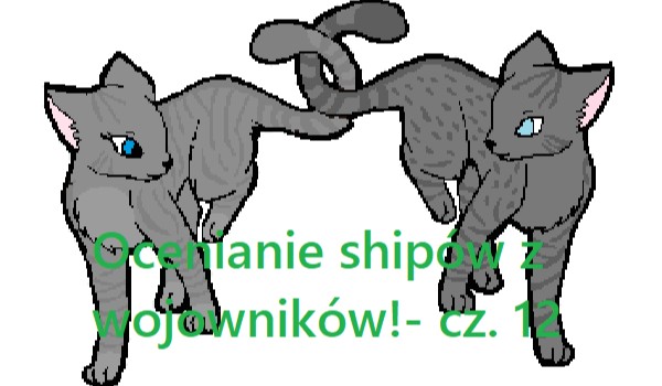 Ocenianie shipów z wojowników!- cz. 12