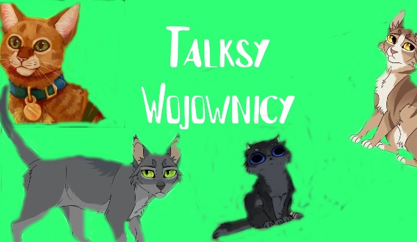 Talksy Wojownicy #4