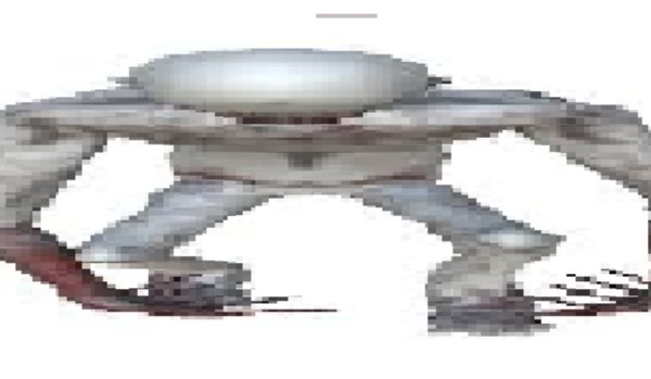 czy znasz sie na espc