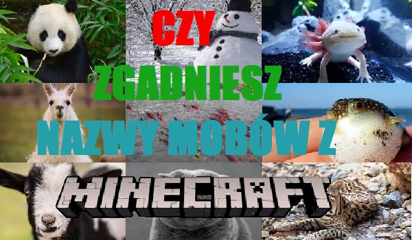 Czy zgadniesz nazwy mobów z Minecraft? Część. 5 Edycja z prawdziwego życia.