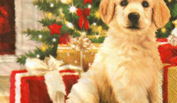 Inazuma eleven go cz.6