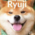 piter12356796574576k