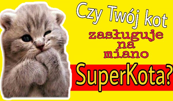 Czy Twój kot zasługuje na miano Super Kota?
