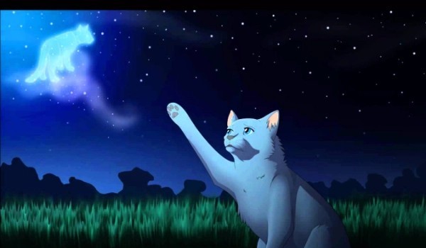 Nowa Przepowiednia ~ Part 2