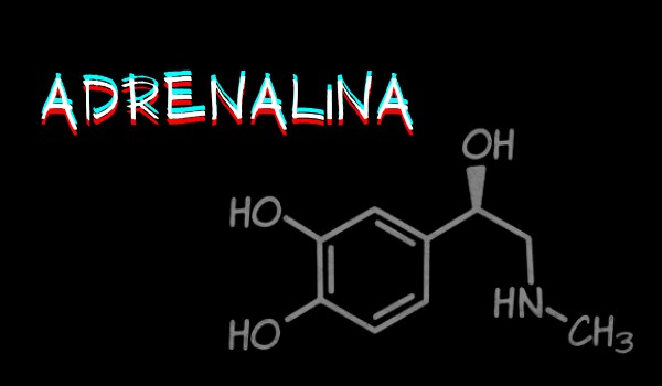 Adrenalina ~ część 3