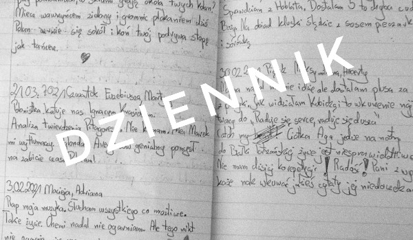Dziennik-11