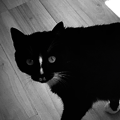 Hybryda666