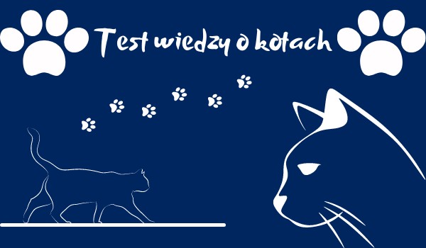 Test wiedzy o kotach.