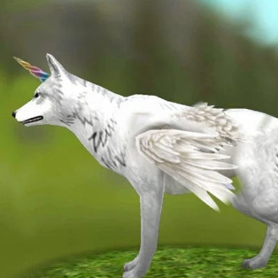 Wildcraft.DariaO.O