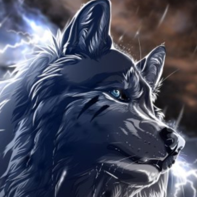 wolfiesss