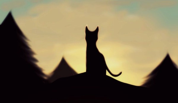 Zemsta Mulistej Trzciny- rozdział 2