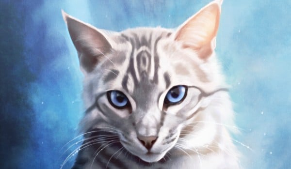 Gwieździsta Noc- rozdział 2