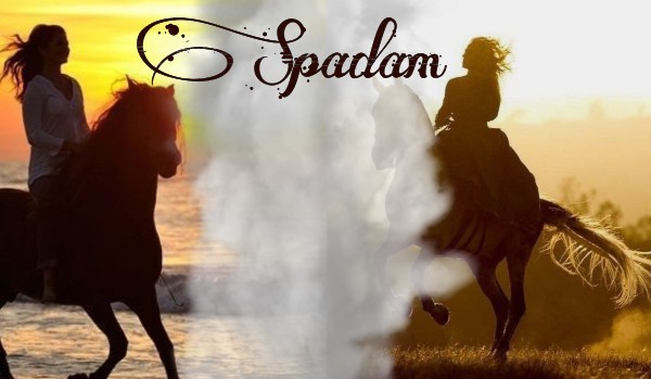 Spadam – One Shot