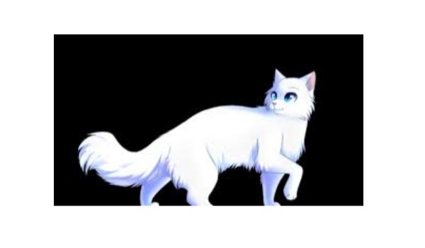 Zemsta kotów z Mrocznej Puszczy cz. 4