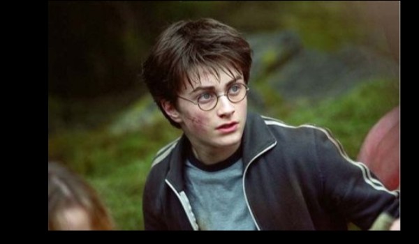 Czy Harry Potter cię kocha?