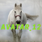.avatar_12.