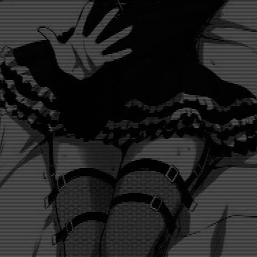 _Night_Rose_