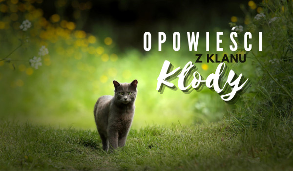 Opowieści z Klanu Kłody: Ścieżką Wojownika ~ #1