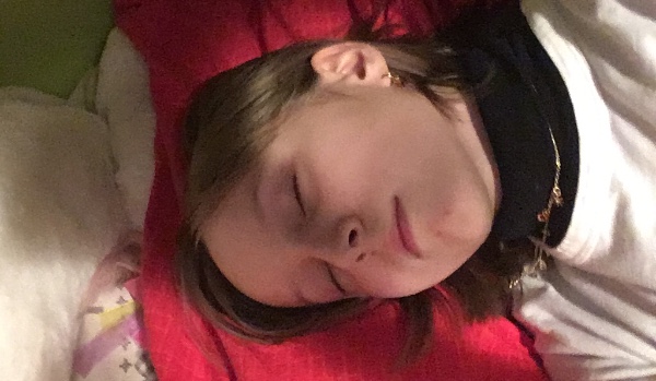 Ile wiesz o boruwce?