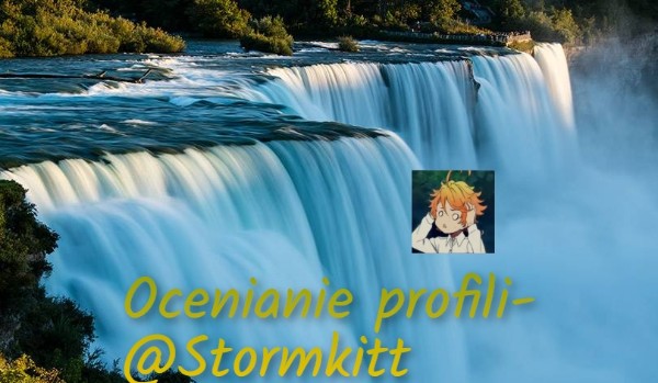 Ocenianie profili – @Stormkitt