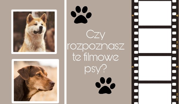 Czy rozpoznasz te filmowe psy?